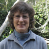 Cynthia Whitman-Bradley