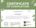 additional credential