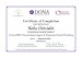 additional credential