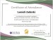 additional credential