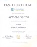 additional credential