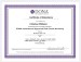 additional credential