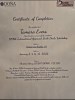 additional credential