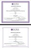 additional credential