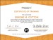 additional credential