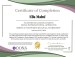 additional credential